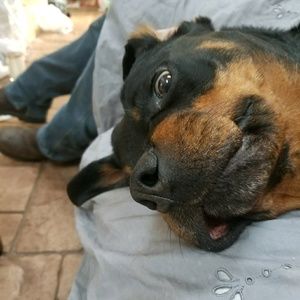 Meet your Posher, Abigail